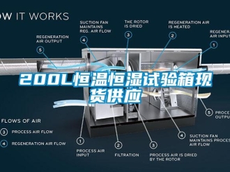 常見問題200L恒溫恒濕試驗箱現(xiàn)貨供應(yīng)
