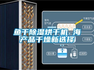 知識(shí)百科魚干除濕烘干機(jī) 海產(chǎn)品干燥新選擇