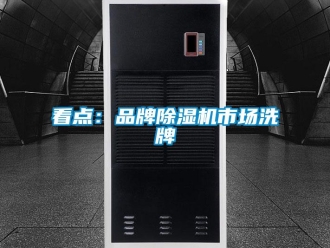 行業新聞看點：品牌除濕機市場洗牌