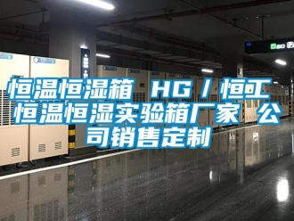 知識百科恒溫恒濕箱 HG／恒工 恒溫恒濕實驗箱廠家 公司銷售定制