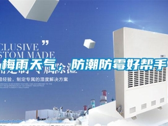 行業新聞梅雨天氣，防潮防霉好幫手