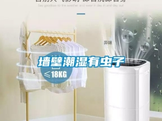 行業新聞墻壁潮濕有蟲子