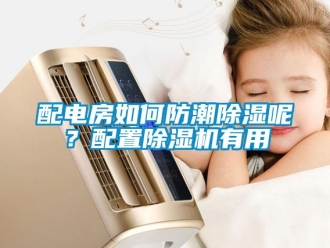 行業新聞配電房如何防潮除濕呢？配置除濕機有用