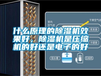 行業(yè)新聞什么原理的除濕機(jī)效果好，除濕機(jī)是壓縮機(jī)的好還是電子的好