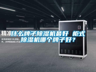 行業(yè)新聞什么牌子除濕機(jī)最好 柜式除濕機(jī)哪個牌子好？