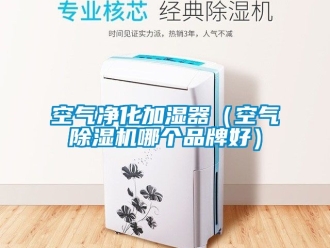 企業新聞空氣凈化加濕器（空氣除濕機哪個品牌好）