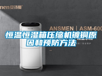知識百科恒溫恒濕箱壓縮機鍍銅原因和預防方法