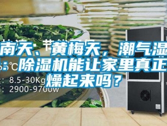 行業新聞回南天、黃梅天，潮氣濕連天：除濕機能讓家里真正干燥起來嗎？