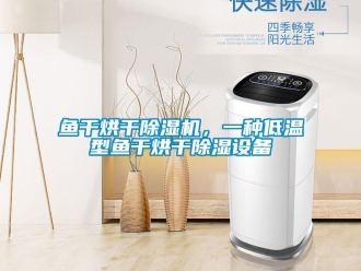 知識(shí)百科魚干烘干除濕機(jī)，一種低溫型魚干烘干除濕設(shè)備