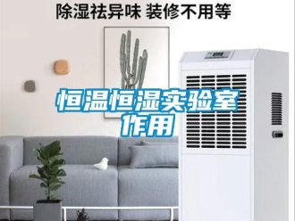 知識百科恒溫恒濕實驗室作用