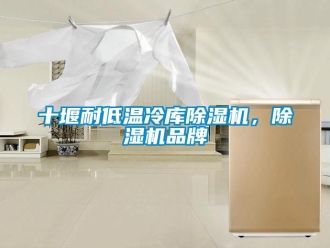 企業(yè)新聞十堰耐低溫冷庫除濕機(jī)，除濕機(jī)品牌