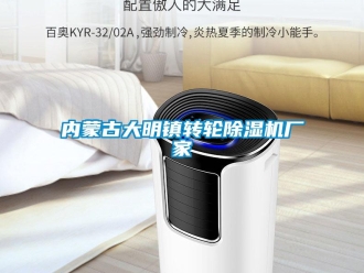 企業新聞內蒙古大明鎮轉輪除濕機廠家