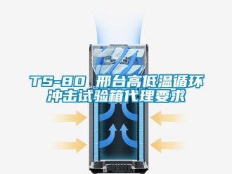 常見問題TS-80 邢臺高低溫循環沖擊試驗箱代理要求