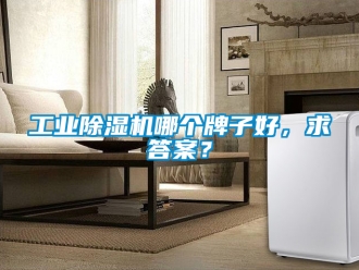 常見問題工業除濕機哪個牌子好，求答案？