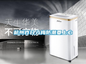 行業新聞杭州昨日入梅防潮要上心