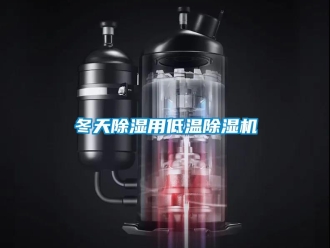 行業(yè)新聞冬天除濕用低溫除濕機