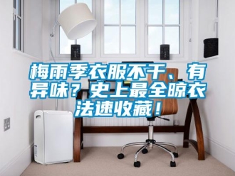 行業(yè)新聞梅雨季衣服不干、有異味？史上最全晾衣法速收藏！