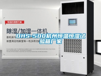 常見問題DHS-500杭州恒溫恒濕試驗箱廠家