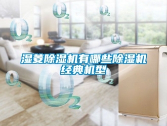 行業新聞濕菱除濕機有哪些除濕機經典機型