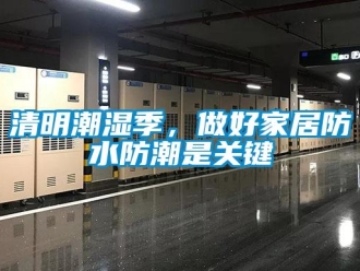 行業新聞清明潮濕季，做好家居防水防潮是關鍵
