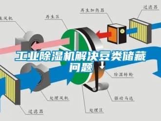 常見問題工業除濕機解決豆類儲藏問題