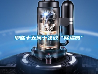 行業新聞那些十五屬于強效“除濕器”
