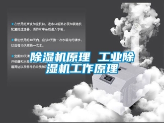 常見問題除濕機原理 工業除濕機工作原理