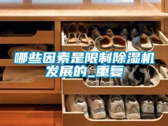 行業新聞哪些因素是限制除濕機發展的_重復