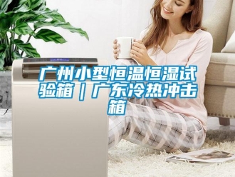 知識百科廣州小型恒溫恒濕試驗箱｜廣東冷熱沖擊箱
