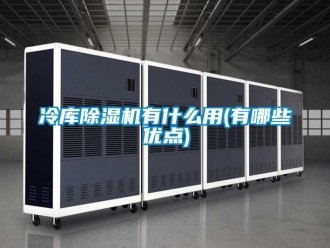 行業(yè)新聞冷庫除濕機(jī)有什么用(有哪些優(yōu)點(diǎn))