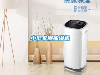 企業(yè)新聞小型家用抽濕機(jī)