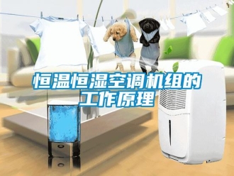 知識百科恒溫恒濕空調機組的工作原理