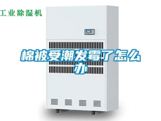 常見問題棉被受潮發(fā)霉了怎么辦