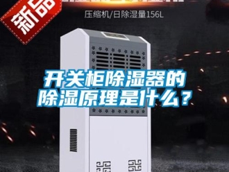 行業(yè)新聞開關(guān)柜除濕器的除濕原理是什么？
