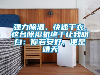 行業新聞強力除濕、快速干衣，這臺除濕機終于讓我明白：你若安好，便是晴天