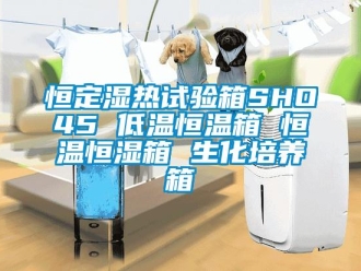 知識百科恒定濕熱試驗箱SHO45 低溫恒溫箱 恒溫恒濕箱 生化培養箱