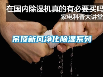 企業新聞吊頂新風凈化除濕系列