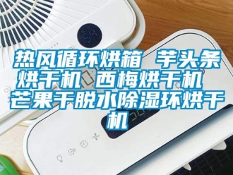 行業(yè)新聞熱風(fēng)循環(huán)烘箱 芋頭條烘干機(jī) 西梅烘干機(jī) 芒果干脫水除濕環(huán)烘干機(jī)
