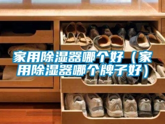 行業新聞家用除濕器哪個好（家用除濕器哪個牌子好）