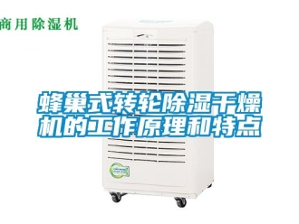 常見問題蜂巢式轉輪除濕干燥機的工作原理和特點