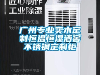 知識百科廣州專業(yè)實木定制恒溫恒濕酒窖不銹鋼定制柜