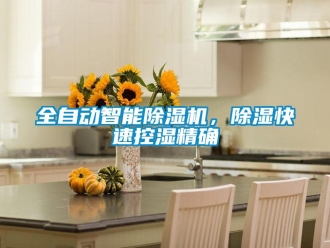 行業新聞全自動智能除濕機，除濕快速控濕精確