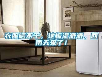 知識百科衣服曬不干，地板濕漉漉，回南天來了！