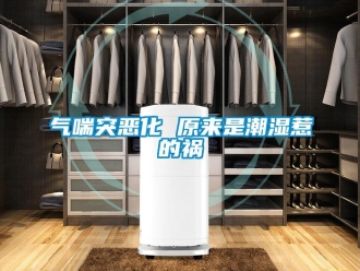 行業新聞氣喘突惡化 原來是潮濕惹的禍