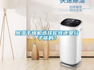 常見問題除濕干燥機選擇輪轉(zhuǎn)還是分子篩的？