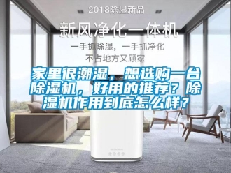 行業新聞家里很潮濕，想選購一臺除濕機，好用的推薦？除濕機作用到底怎么樣？
