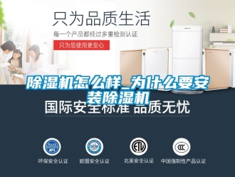 行業(yè)新聞除濕機怎么樣_為什么要安裝除濕機