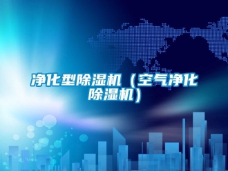 行業新聞凈化型除濕機（空氣凈化除濕機）