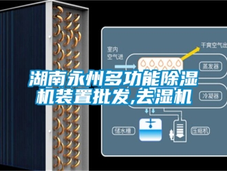 行業新聞湖南永州多功能除濕機裝置批發,去濕機