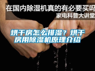 行業(yè)新聞烘干房怎么排濕？烘干房用除濕機(jī)原理介紹